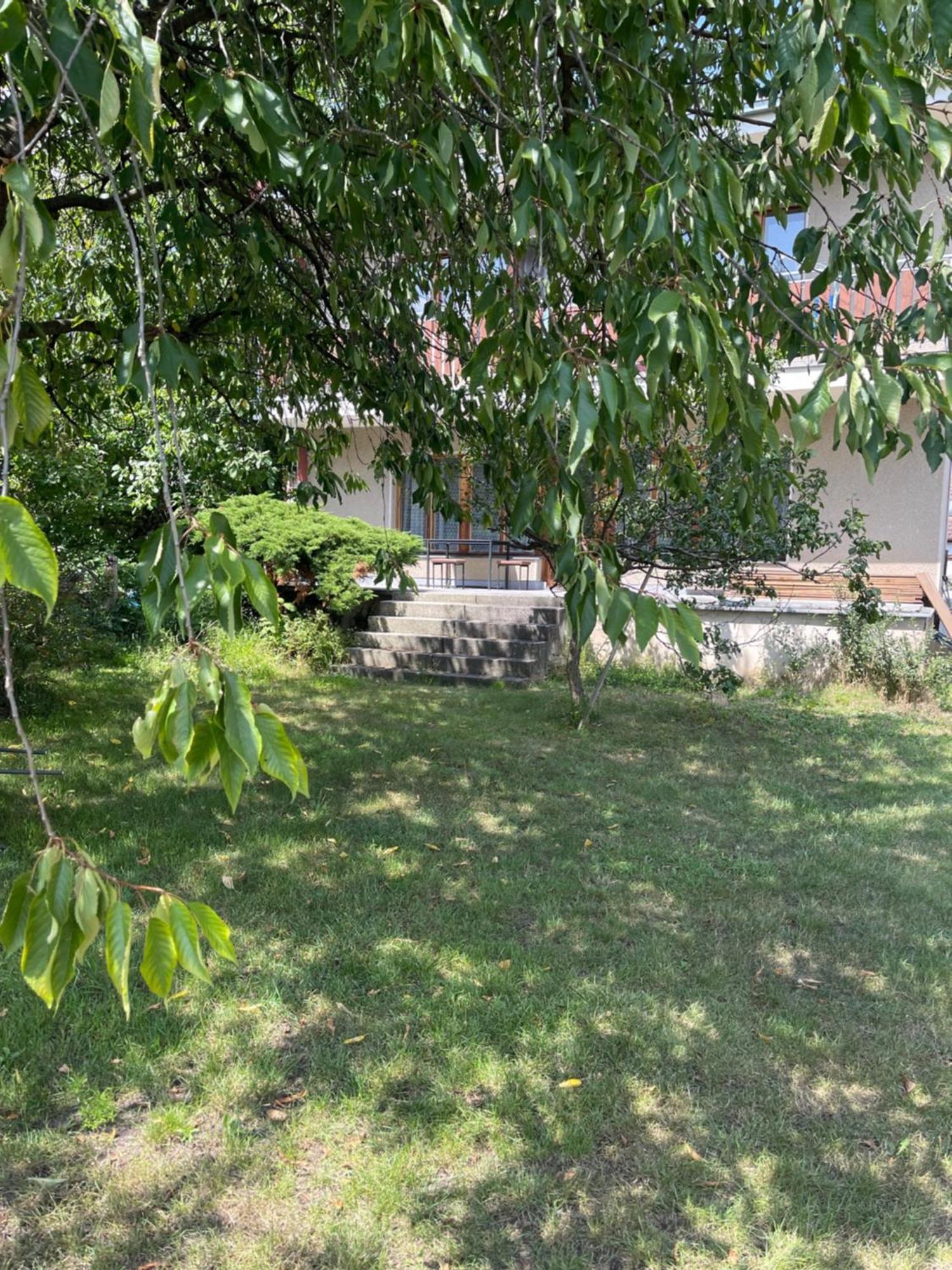 Apartment S Terasou Lysa 리사 나트 라벰 외부 사진